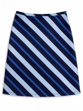 Express blue striped skirt